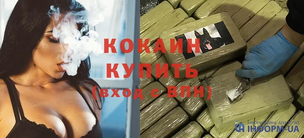 индика Михайлов