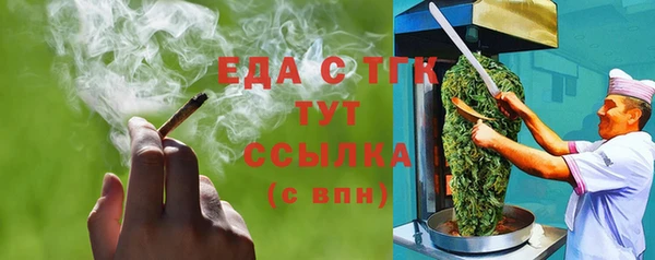 индика Михайлов
