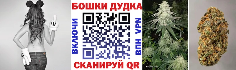 kraken онион Кочубеевское Шишки марихуана Bruce Banner что такое наркотик